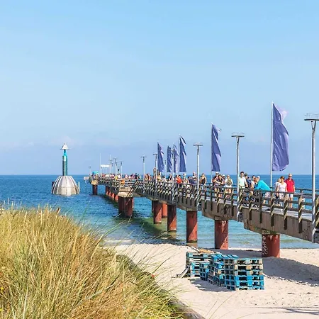 Seegras An Der Seebrucke